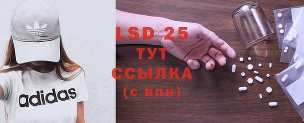 крисы Аркадак
